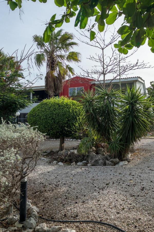 Casa Arte- Exclusive Apartment With Internet And Pool Santa Catharina المظهر الخارجي الصورة