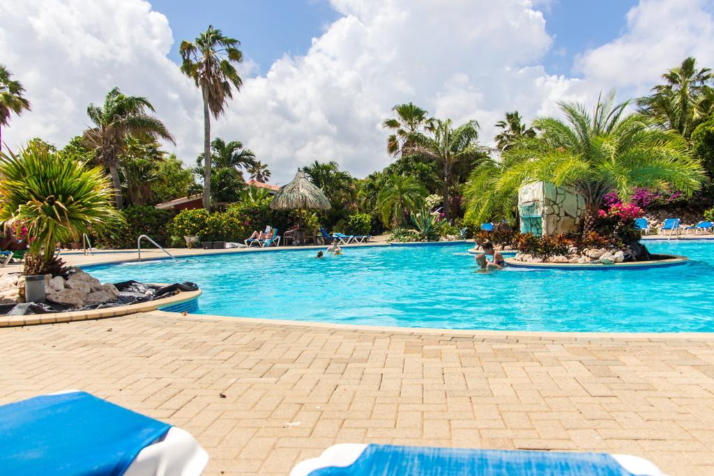 Casa Arte- Exclusive Apartment With Internet And Pool Santa Catharina المظهر الخارجي الصورة